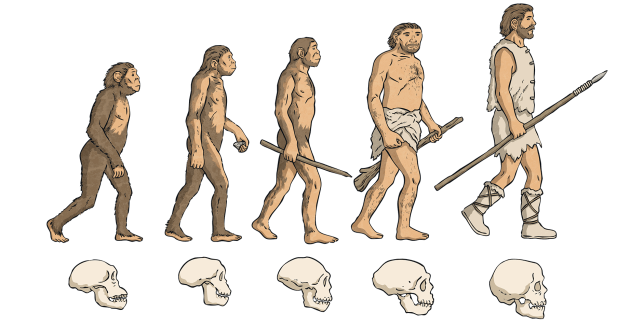 evolution - Timeline of Human Evolution | History & Science Wiki