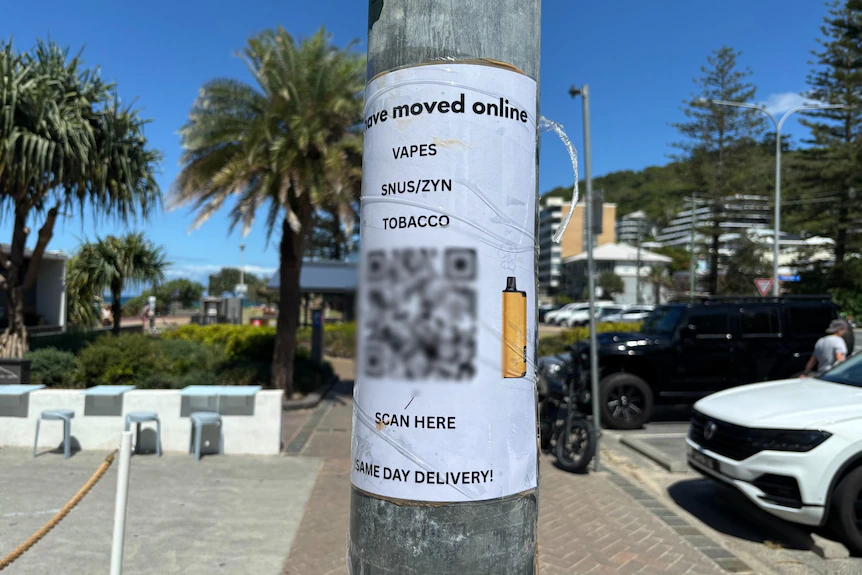Regional Australia vape delivery landscape, vape courier rural Queensland Victoria, outback vape delivery service - Vape shopfronts move online amid Qld crackdown on illegal products ...