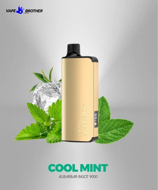 Alibarbar INGOT 9000 travel vape, disposable vape camping trip, festival portable vaporizer no charging - Alibarbar Ingot 9000 Puffs Disposable Vape Wholesale – Vapz Vape ...