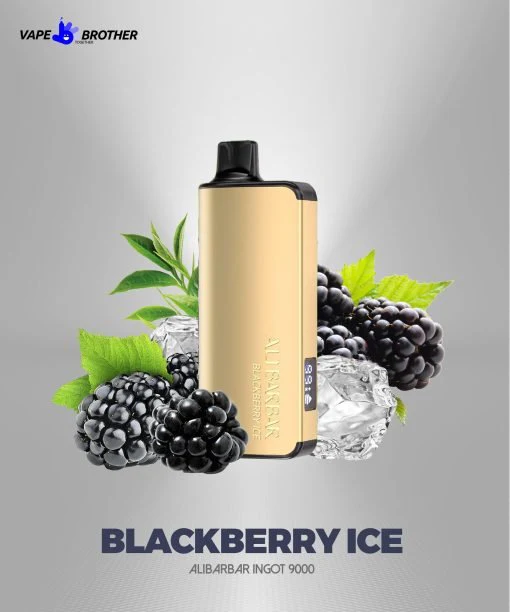 Alibarbar INGOT 9000 disposable vape, Moreton Bay weekend getaway, boat or beach, long-lasting vape - Alibarbar Ingot 9000 Puffs Disposable Vape Wholesale – Vapz Vape ...