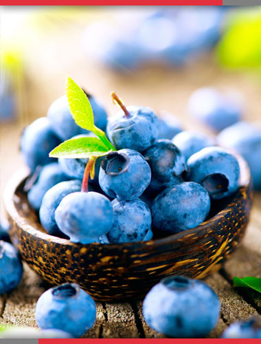 Blueberry Blast vape flavor art, realistic blueberry ice vape, deep jammy blueberry illustration - Blueberry Blast Type 2 Flavoring