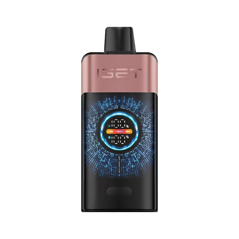 IGET ONE vape camping Australia, disposable vape outdoor lifestyle Australia, vaping at cricket match - IGET ONE Disposable Vape - Vapico AU