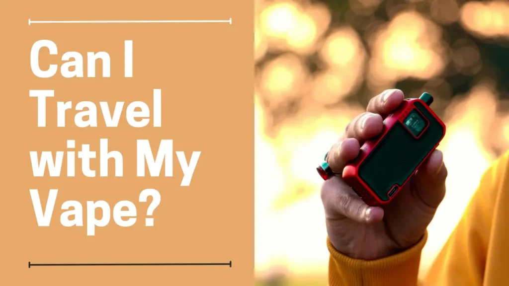 can i travel with my vape d1b1