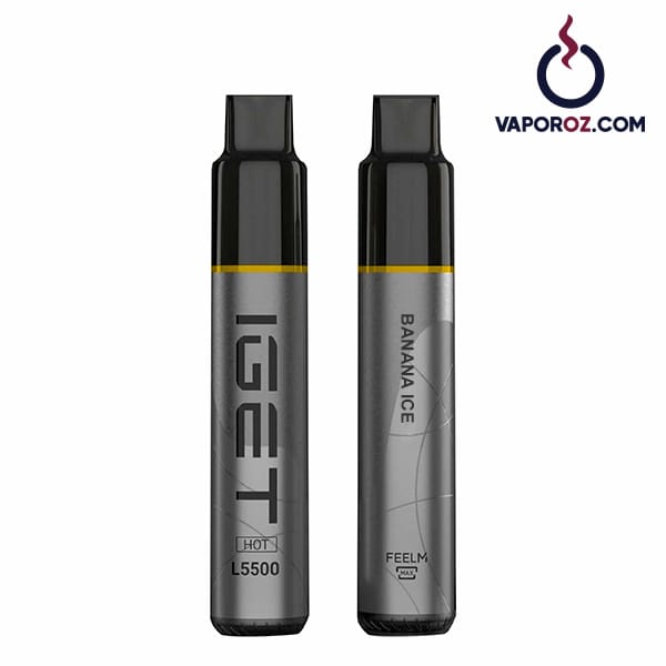 IGET Moon K5000 Puffs Disposable Vape close up, cobblestone texture vape device, ergonomic pebble shaped vape - IGET Moon K5000 Puffs - Vaporoz