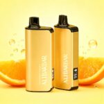 Alibarbar INGOT9000 puffs Disposable Vape - Image 8