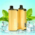 Alibarbar INGOT9000 puffs Disposable Vape - Image 10